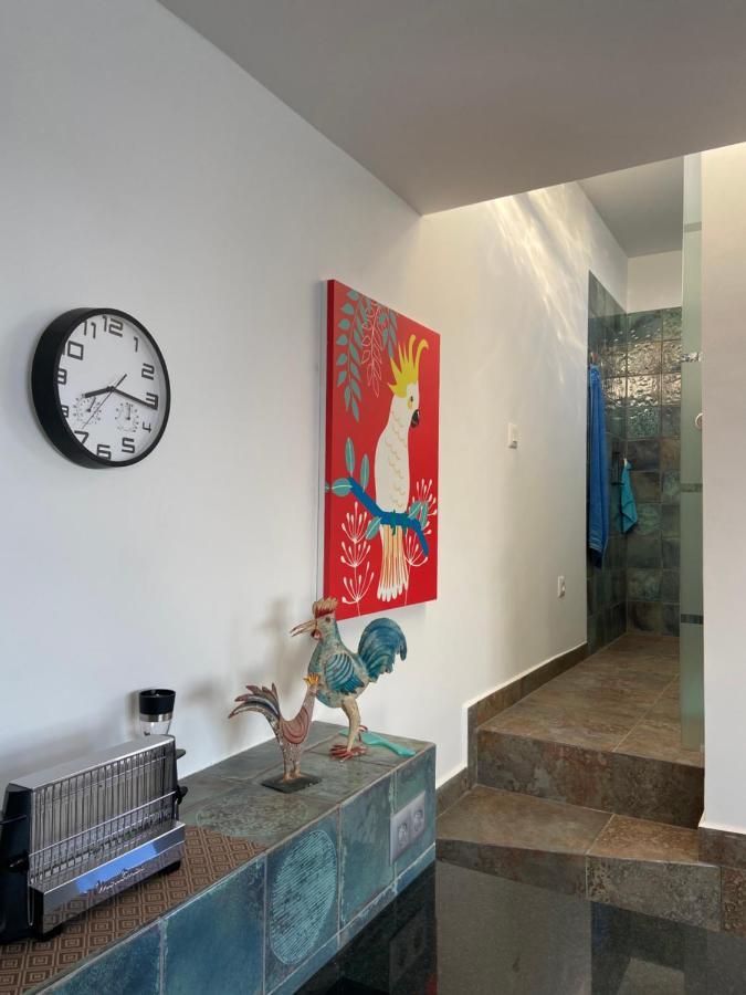 Villa Oasis La Paz - Acaymo Loft - Adults Only - Πουέρτο Ντε Λα Κρουζ Εξωτερικό φωτογραφία