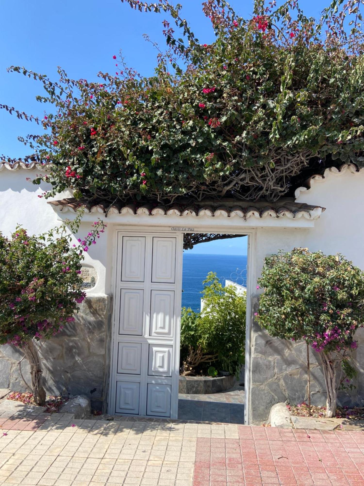 Villa Oasis La Paz - Acaymo Loft - Adults Only - Πουέρτο Ντε Λα Κρουζ Εξωτερικό φωτογραφία