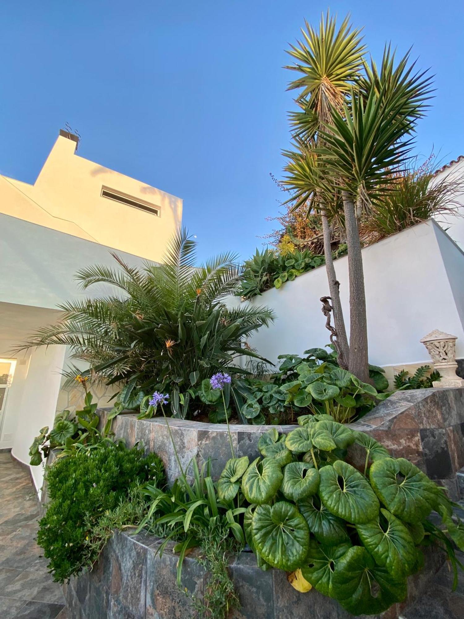 Villa Oasis La Paz - Acaymo Loft - Adults Only - Πουέρτο Ντε Λα Κρουζ Εξωτερικό φωτογραφία